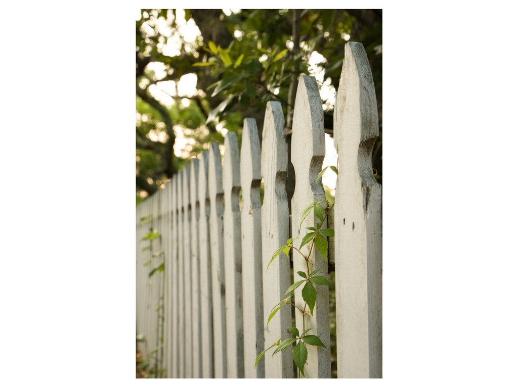 picket-fence