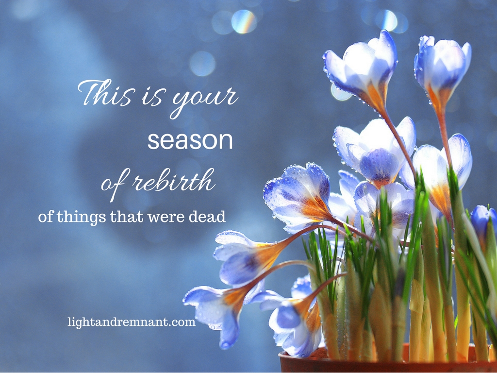 This is your season of rebirth